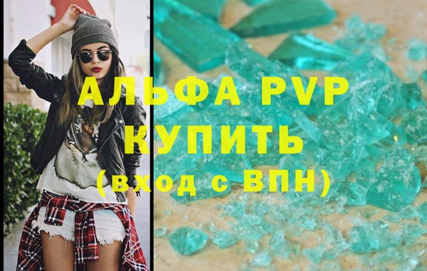 СК Каменногорск