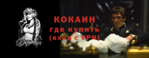 СК Каменногорск