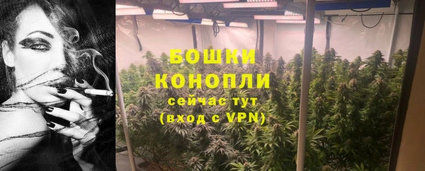 СК Каменногорск
