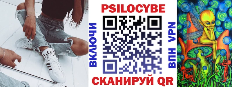 Псилоцибиновые грибы Psilocybe  Рошаль 